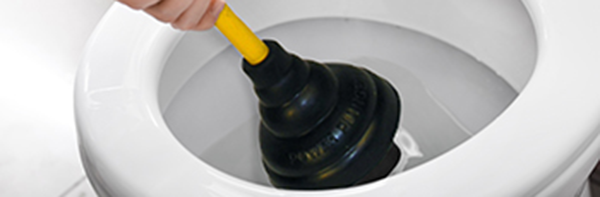 How to Unclog a Toilet