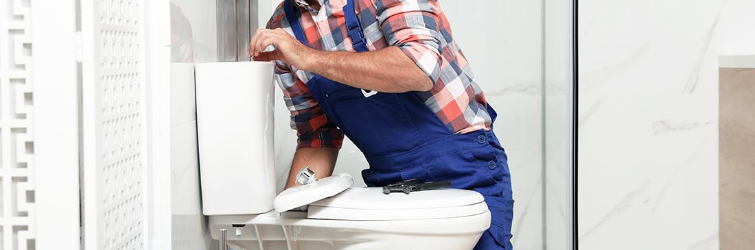 Toilet Repair